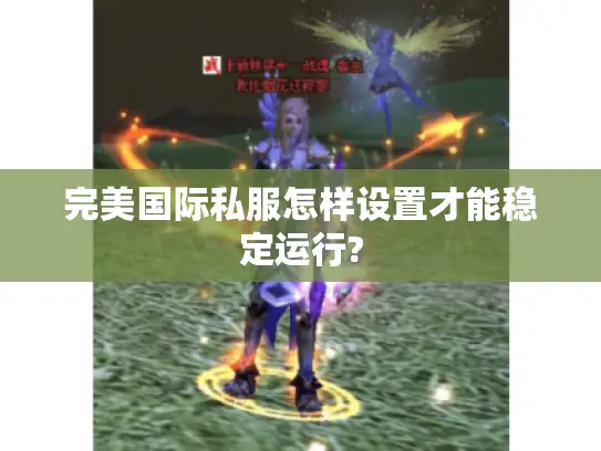完美国际私服怎样设置才能稳定运行?