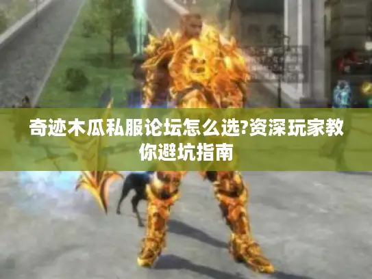 奇迹木瓜私服论坛怎么选?资深玩家教你避坑指南