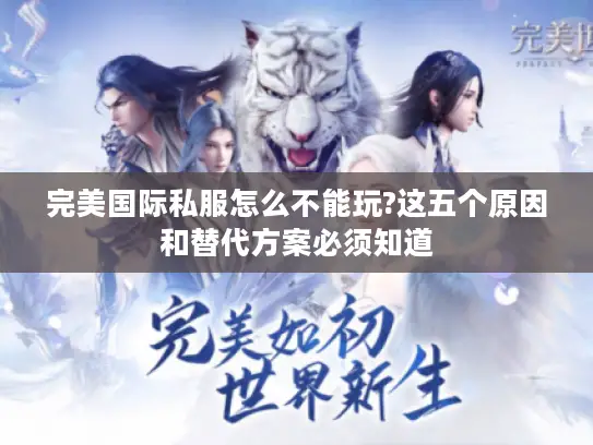 完美国际私服怎么不能玩?这五个原因和替代方案必须知道