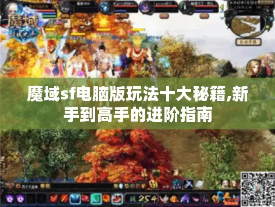 魔域sf电脑版玩法十大秘籍,新手到高手的进阶指南