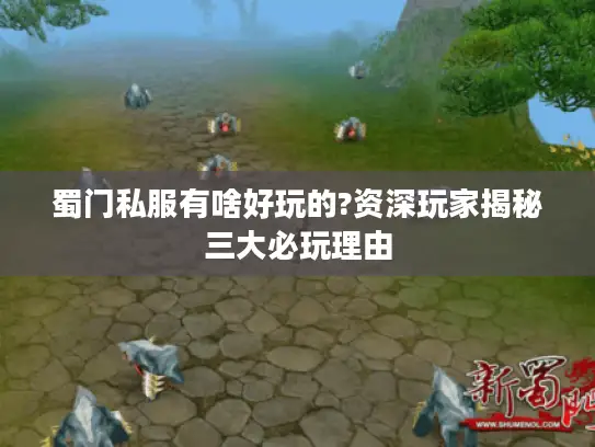 蜀门私服有啥好玩的?资深玩家揭秘三大必玩理由