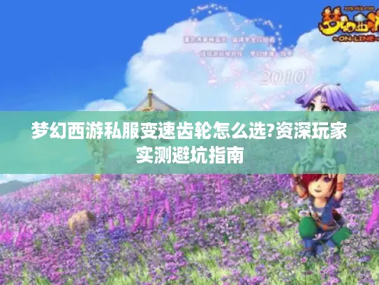 梦幻西游私服变速齿轮怎么选?资深玩家实测避坑指南