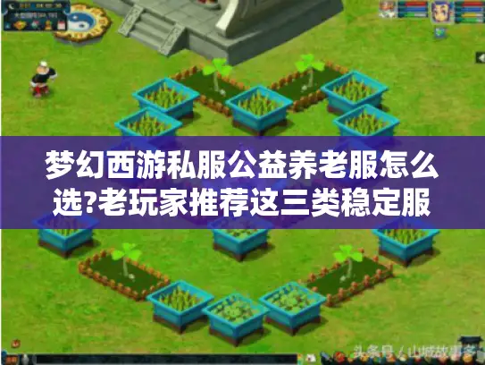 梦幻西游私服公益养老服怎么选?老玩家推荐这三类稳定服务器