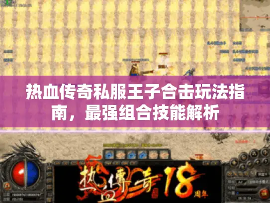 热血传奇私服王子合击玩法指南，最强组合技能解析