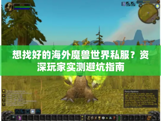 想找好的海外魔兽世界私服？资深玩家实测避坑指南