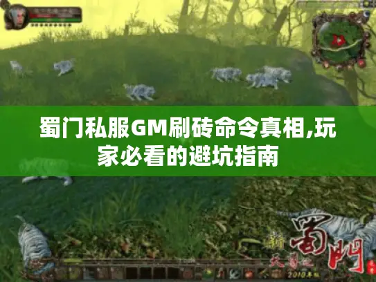 蜀门私服GM刷砖命令真相,玩家必看的避坑指南 蜀门私服GM刷砖命令真相,玩家必看的避坑指南