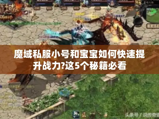 魔域私服小号和宝宝如何快速提升战力?这5个秘籍必看