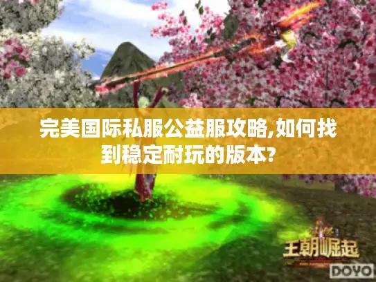 完美国际私服公益服攻略,如何找到稳定耐玩的版本?