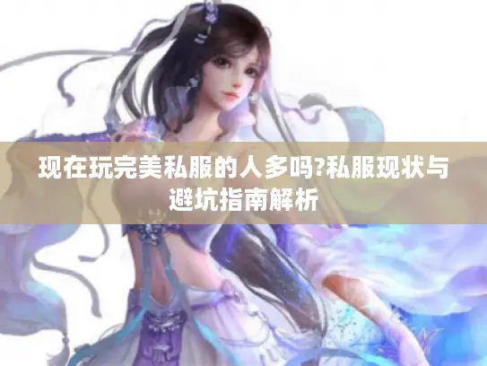 现在玩完美私服的人多吗?私服现状与避坑指南解析