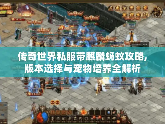 传奇世界私服带麒麟蚂蚁攻略,版本选择与宠物培养全解析