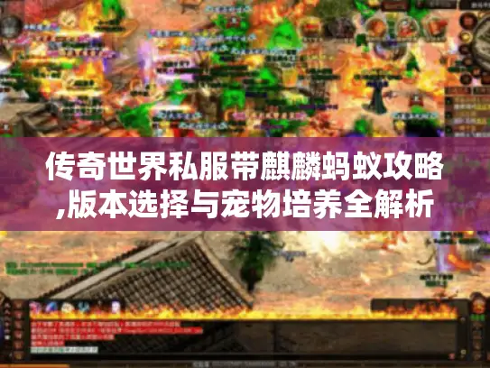 传奇世界私服带麒麟蚂蚁攻略,版本选择与宠物培养全解析