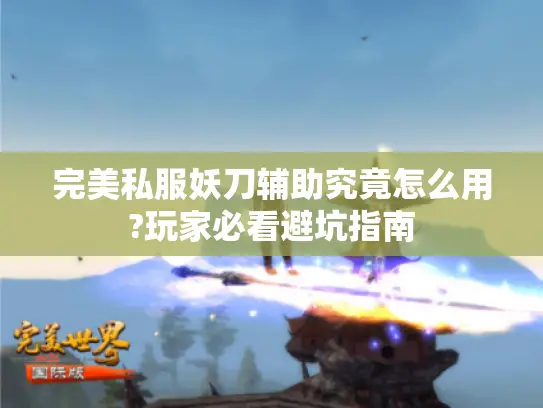 完美私服妖刀辅助究竟怎么用?玩家必看避坑指南
