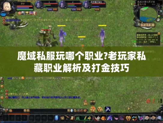 魔域私服玩哪个职业?老玩家私藏职业解析及打金技巧