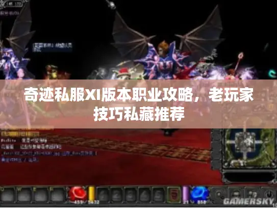 奇迹私服XI版本职业攻略,老玩家技巧私藏推荐 奇迹私服XI版本职业攻略,老玩家技巧私藏推荐