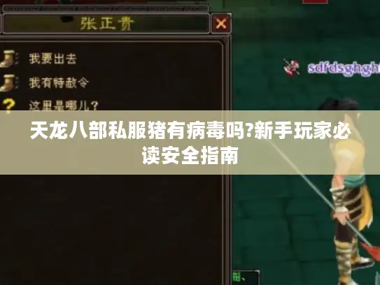 天龙八部私服猪有病毒吗?新手玩家必读安全指南