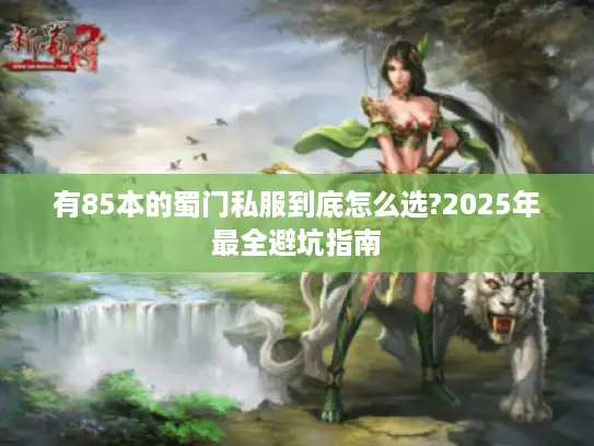 有85本的蜀门私服到底怎么选?2025年最全避坑指南
