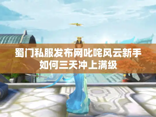 蜀门私服发布网叱咤风云新手如何三天冲上满级