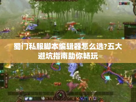 蜀门私服脚本编辑器怎么选?五大避坑指南助你畅玩