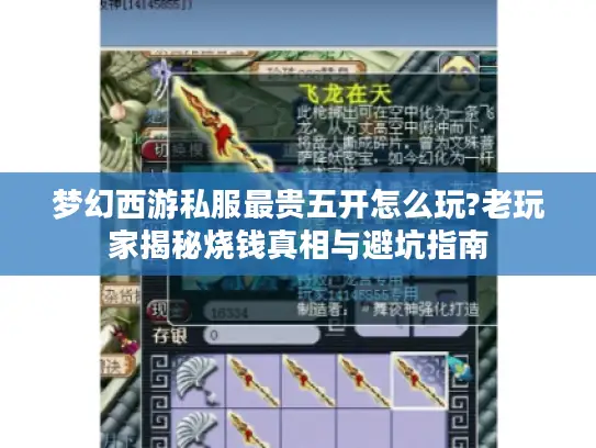 梦幻西游私服最贵五开怎么玩?老玩家揭秘烧钱真相与避坑指南