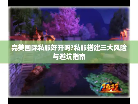 完美国际私服好开吗?私服搭建三大风险与避坑指南 完美国际私服好开吗?私服搭建三大风险与避坑指南