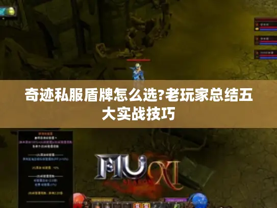 奇迹私服盾牌怎么选?老玩家总结五大实战技巧