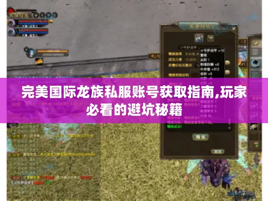 完美国际龙族私服账号获取指南,玩家必看的避坑秘籍