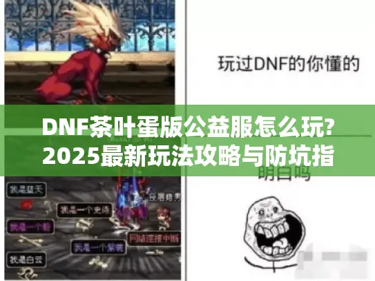 DNF茶叶蛋版公益服怎么玩?2025最新玩法攻略与防坑指南 DNF茶叶蛋版公益服怎么玩?2025最新玩法攻略与防坑指南
