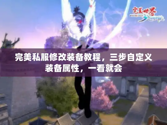 完美私服修改装备教程，三步自定义装备属性，一看就会