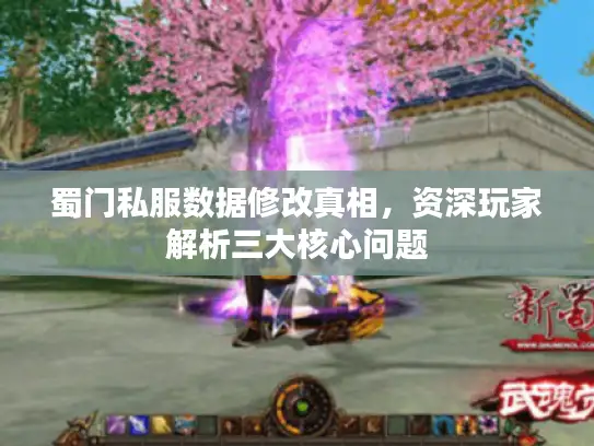 蜀门私服数据修改真相，资深玩家解析三大核心问题