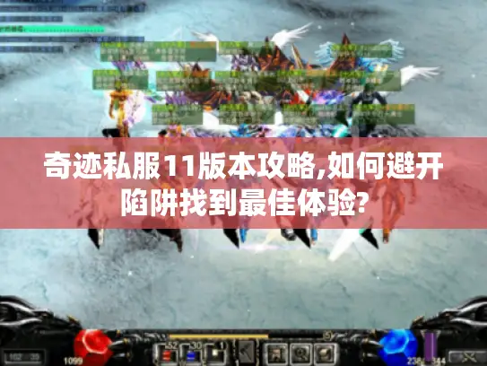 奇迹私服11版本攻略,如何避开陷阱找到最佳体验?