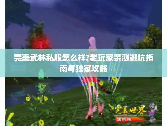 完美武林私服怎么样?老玩家亲测避坑指南与独家攻略