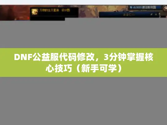 DNF公益服代码修改，3分钟掌握核心技巧（新手可学）
