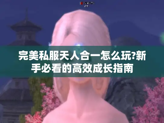 完美私服天人合一怎么玩?新手必看的高效成长指南