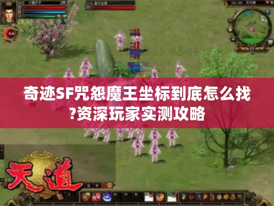 奇迹SF咒怨魔王坐标到底怎么找?资深玩家实测攻略