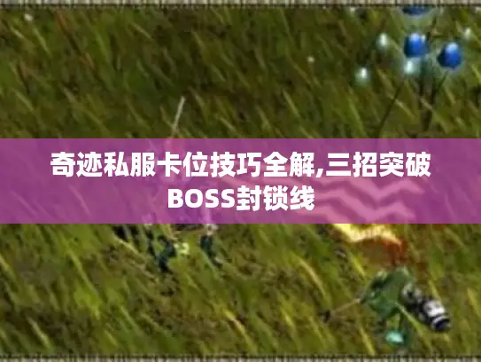 奇迹私服卡位技巧全解,三招突破BOSS封锁线 奇迹私服卡位技巧全解,三招突破BOSS封锁线