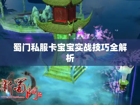 蜀门私服卡宝宝实战技巧全解析