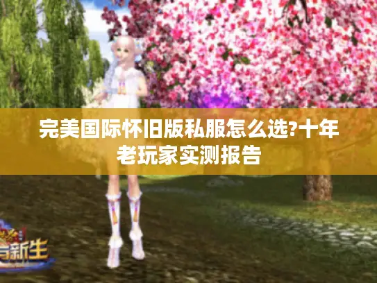 完美国际怀旧版私服怎么选?十年老玩家实测报告