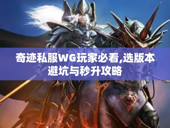 奇迹私服WG玩家必看,选版本避坑与秒升攻略