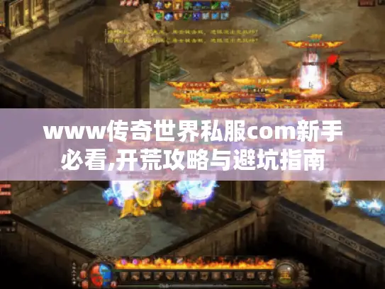 www传奇世界私服com新手必看,开荒攻略与避坑指南