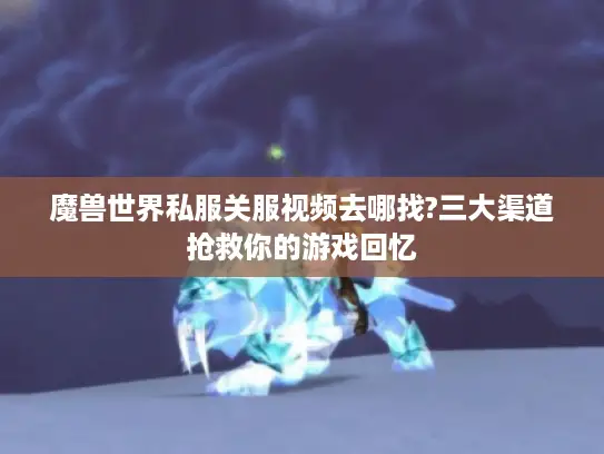 魔兽世界私服关服视频去哪找?三大渠道抢救你的游戏回忆