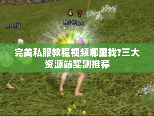完美私服教程视频哪里找?三大资源站实测推荐