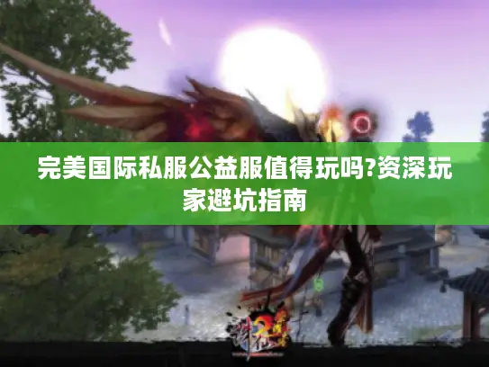 完美国际私服公益服值得玩吗?资深玩家避坑指南