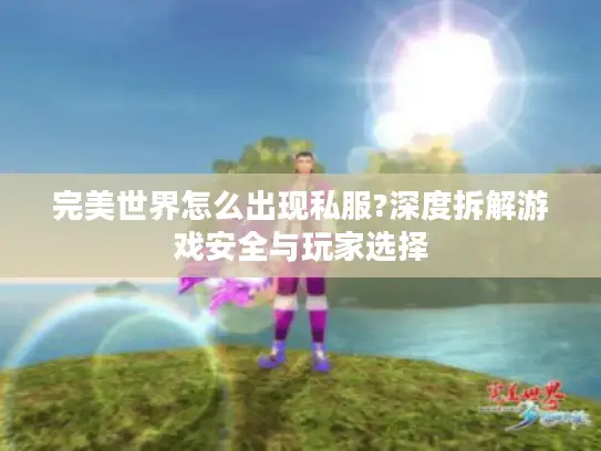完美世界怎么出现私服?深度拆解游戏安全与玩家选择