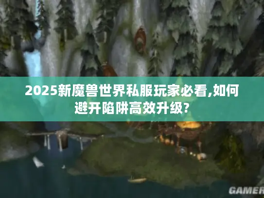 2025新魔兽世界私服玩家必看,如何避开陷阱高效升级?