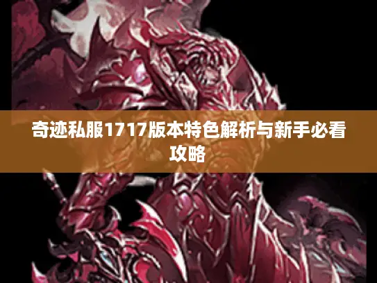 奇迹私服1717版本特色解析与新手必看攻略