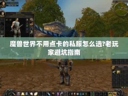 魔兽世界不用点卡的私服怎么选?老玩家避坑指南