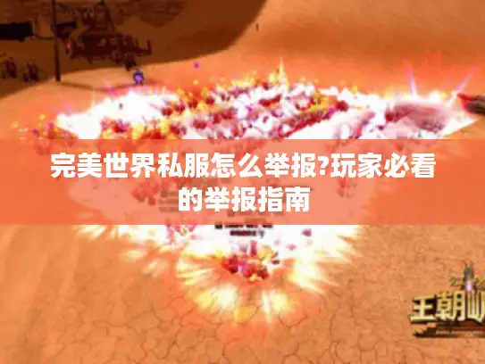 完美世界私服怎么举报?玩家必看的举报指南