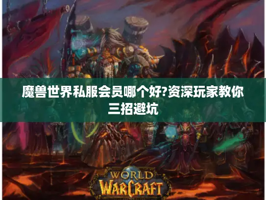 魔兽世界私服会员哪个好?资深玩家教你三招避坑