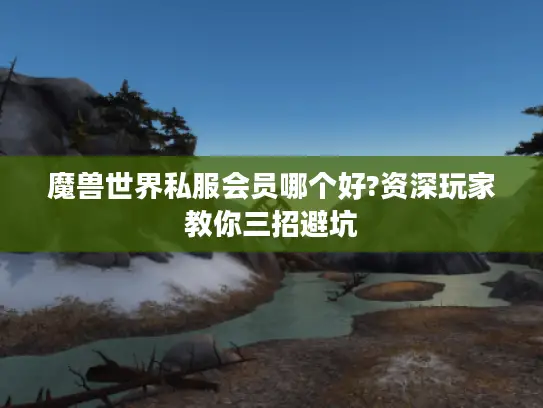 魔兽世界私服会员哪个好?资深玩家教你三招避坑