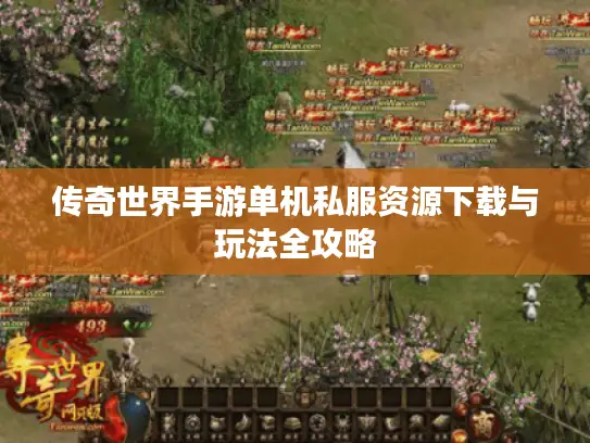 传奇世界手游单机私服资源下载与玩法全攻略